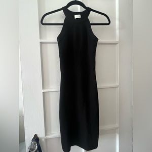 Aritzia Bodycon Dress